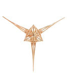 Angelic Star Pendant